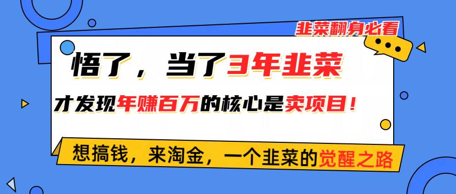 悟了，当了3年韭菜，才发现网赚圈年赚100万的核心是卖项目，含泪分享！即刻搞钱-网创项目资源站-副业项目-创业项目-搞钱项目即刻搞钱