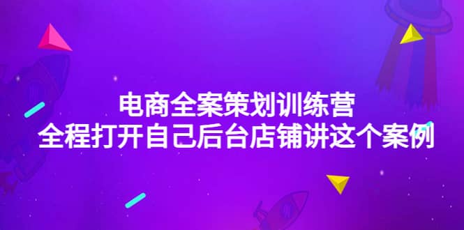 电商全案策划训练营：全程打开自己后台店铺讲这个案例（9节课时）即刻搞钱-网创项目资源站-副业项目-创业项目-搞钱项目即刻搞钱