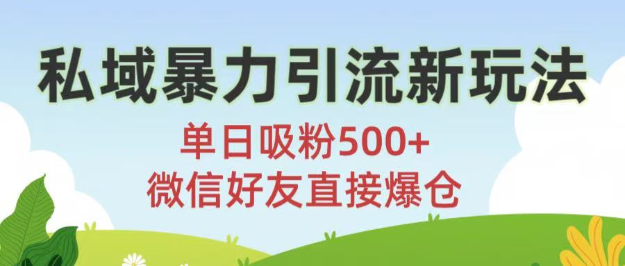 私域暴力引流新玩法!单日吸粉500+，微信好友直接爆仓即刻搞钱-网创项目资源站-副业项目-创业项目-搞钱项目即刻搞钱