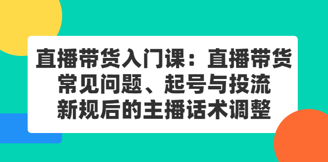 直播带货入门课：直播带货常见问题、起号与投流、新规后的主播话术调整即刻搞钱-网创项目资源站-副业项目-创业项目-搞钱项目即刻搞钱