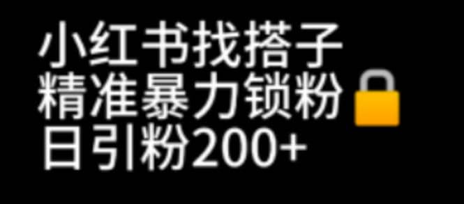 小红书找搭子暴力精准锁粉+引流日引200+精准粉即刻搞钱-网创项目资源站-副业项目-创业项目-搞钱项目即刻搞钱