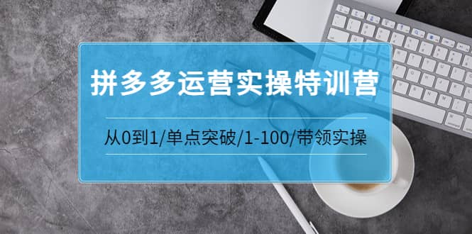 拼多多运营实操特训营：从0到1/单点突破/1-100/带领实操 价值2980元即刻搞钱-网创项目资源站-副业项目-创业项目-搞钱项目即刻搞钱
