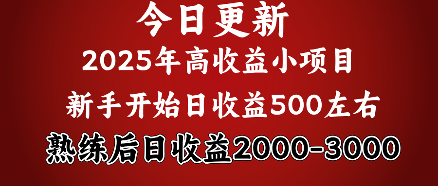 好项目一眼就能看出来，日收益1000，长久可做，2025拼的就是我比你勤奋即刻搞钱-网创项目资源站-副业项目-创业项目-搞钱项目即刻搞钱