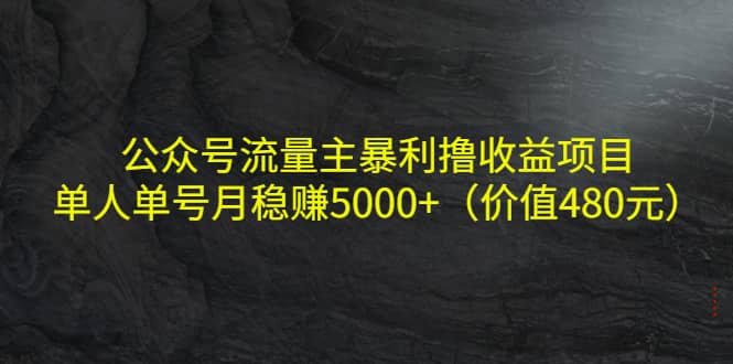 公众号流量主暴利撸收益项目，单人单号月稳赚5000+（价值480元）即刻搞钱-网创项目资源站-副业项目-创业项目-搞钱项目即刻搞钱