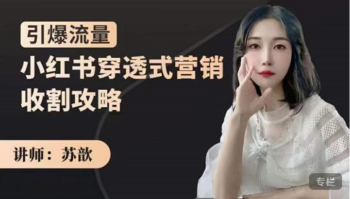 小红书穿透式营销收割攻略，引爆流量，助你玩转小红书即刻搞钱-网创项目资源站-副业项目-创业项目-搞钱项目即刻搞钱