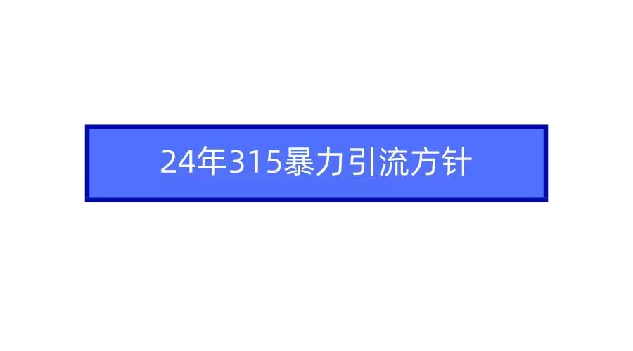 2024年315暴力引流方针即刻搞钱-网创项目资源站-副业项目-创业项目-搞钱项目即刻搞钱