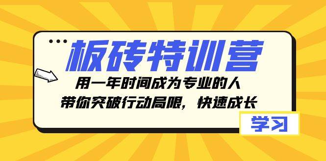 板砖特训营，用一年时间成为专业的人，带你突破行动局限，快速成长即刻搞钱-网创项目资源站-副业项目-创业项目-搞钱项目即刻搞钱