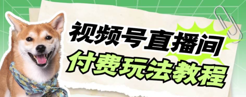 视频号美女付费无人直播，轻松日入500+【详细玩即刻搞钱-网创项目资源站-副业项目-创业项目-搞钱项目即刻搞钱