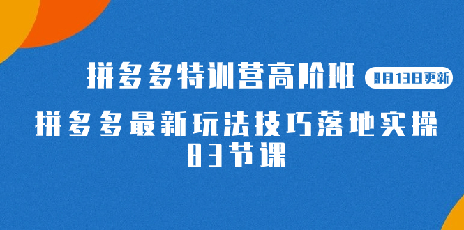 2023拼多多·特训营高阶班【9月13日更新】拼多多最新玩法技巧落地实操-83节即刻搞钱-网创项目资源站-副业项目-创业项目-搞钱项目即刻搞钱