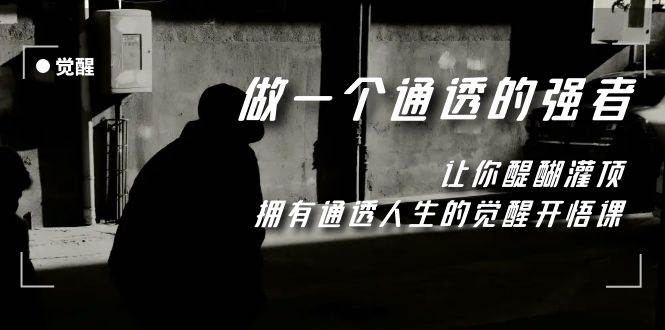 觉醒-做一个通透强者，让你醍醐灌顶，拥有通透人生，掌握强大的秘密即刻搞钱-网创项目资源站-副业项目-创业项目-搞钱项目即刻搞钱