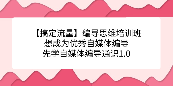 【搞定流量】编导思维培训班，想成为优秀自媒体编导先学自媒体编导通识1.0即刻搞钱-网创项目资源站-副业项目-创业项目-搞钱项目即刻搞钱
