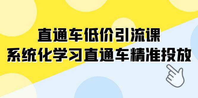 直通车-低价引流课，系统化学习直通车精准投放（14节课）即刻搞钱-网创项目资源站-副业项目-创业项目-搞钱项目即刻搞钱