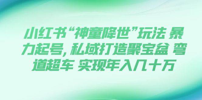 小红书“神童降世”玩法 暴力起号,私域打造聚宝盆 弯道超车 实现年入几十万即刻搞钱-网创项目资源站-副业项目-创业项目-搞钱项目即刻搞钱