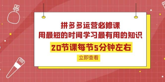 拼多多运营必修课：20节课每节5分钟左右，用最短的时间学习最有用的知识即刻搞钱-网创项目资源站-副业项目-创业项目-搞钱项目即刻搞钱