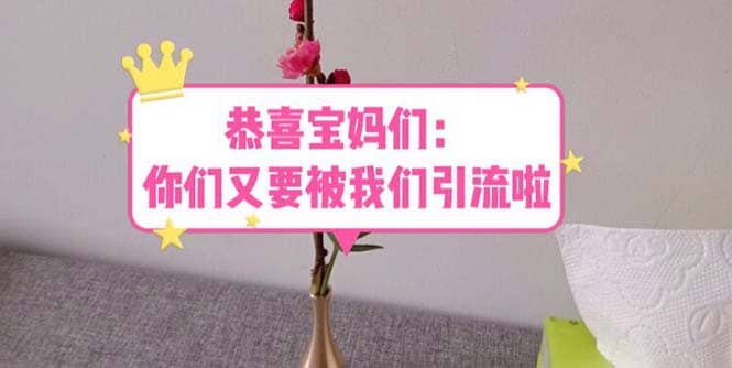 恭喜宝妈们：你们又要被我们引流了（教程+222g资料）即刻搞钱-网创项目资源站-副业项目-创业项目-搞钱项目即刻搞钱