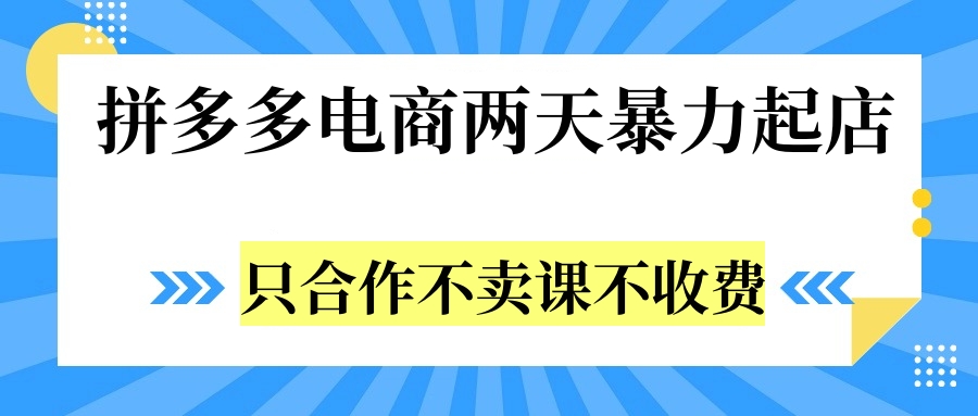 拼多多两天暴力起店，只合作不卖课不收费即刻搞钱-网创项目资源站-副业项目-创业项目-搞钱项目即刻搞钱