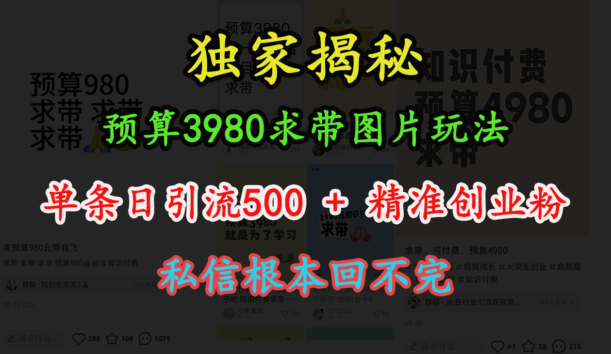 “小红书”预算3980求带 图片玩法，单条日引流500+精准创业粉，私信根本回不完即刻搞钱-网创项目资源站-副业项目-创业项目-搞钱项目即刻搞钱