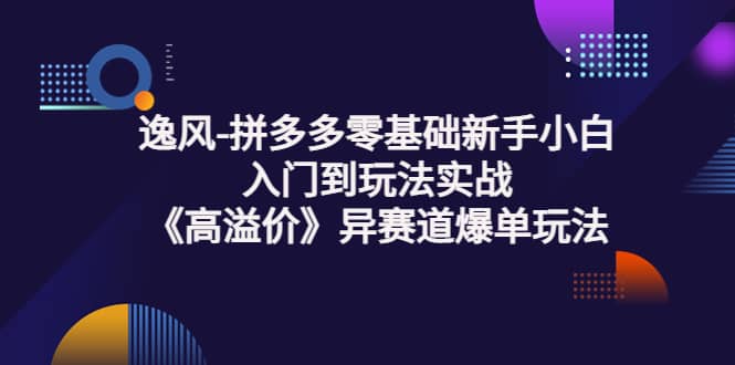 拼多多零基础新手小白入门到玩法实战《高溢价》异赛道爆单玩法实操课即刻搞钱-网创项目资源站-副业项目-创业项目-搞钱项目即刻搞钱