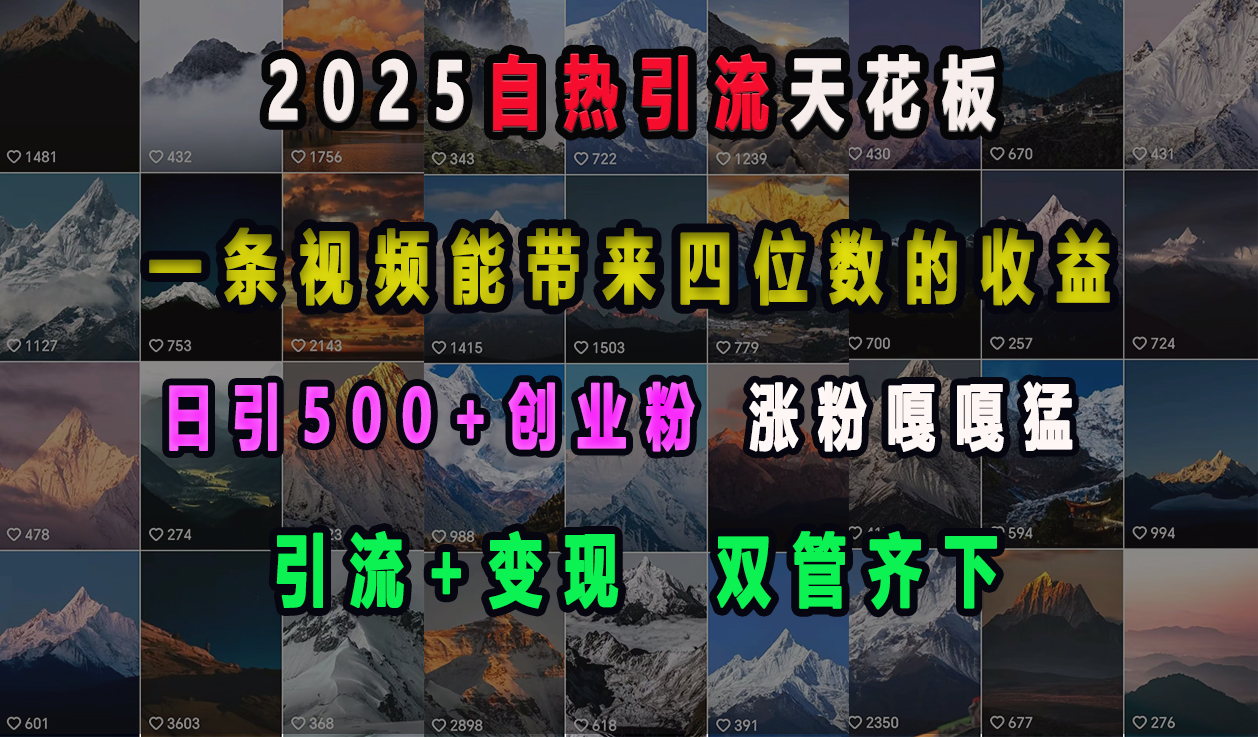 2025自热引流天花板，一条视频能带来四位数的收益，引流+变现双管齐下，日引500+创业粉，涨粉嘎嘎猛即刻搞钱-网创项目资源站-副业项目-创业项目-搞钱项目即刻搞钱
