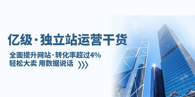 独立站运营干货：全面提升网站·转化率超过4%，轻松大卖 用数据说话即刻搞钱-网创项目资源站-副业项目-创业项目-搞钱项目即刻搞钱