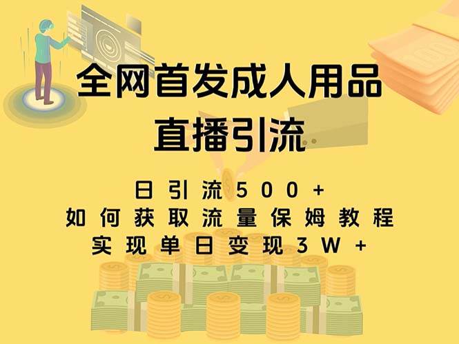最新全网独创首发，成人用品直播引流获客暴力玩法，单日变现3w保姆级教程即刻搞钱-网创项目资源站-副业项目-创业项目-搞钱项目即刻搞钱
