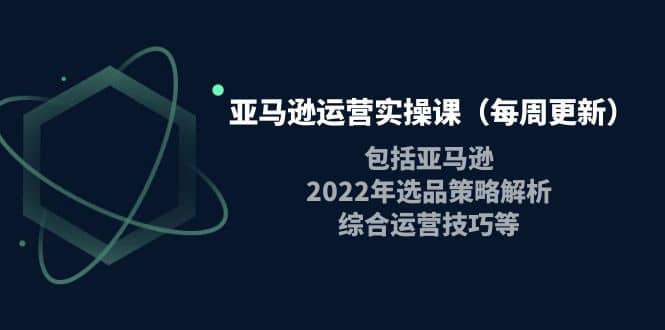 亚马逊运营实操课（每周更新）包括亚马逊2022选品策略解析，综合运营技巧等即刻搞钱-网创项目资源站-副业项目-创业项目-搞钱项目即刻搞钱