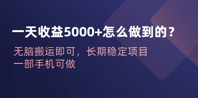 一天收益5000+怎么做到的？无脑搬运即可，长期稳定项目，一部手机可做即刻搞钱-网创项目资源站-副业项目-创业项目-搞钱项目即刻搞钱