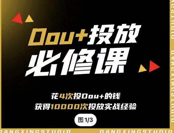 代同学DOU+投放训练营，用付费流量撬动大额自然流量，过得超额变现转化即刻搞钱-网创项目资源站-副业项目-创业项目-搞钱项目即刻搞钱