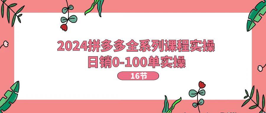 2024拼多多全系列课程实操，日销0-100单实操【16节课】即刻搞钱-网创项目资源站-副业项目-创业项目-搞钱项目即刻搞钱