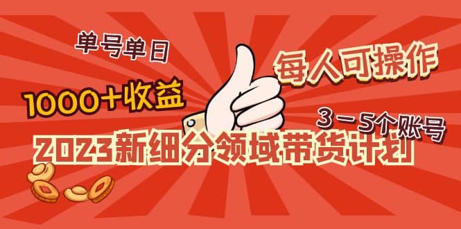 2023新细分领域带货计划：单号单日1000+收益不难，每人可操作3-5个账号即刻搞钱-网创项目资源站-副业项目-创业项目-搞钱项目即刻搞钱