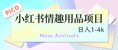 最新小红书情趣用品项目，日入1-4k即刻搞钱-网创项目资源站-副业项目-创业项目-搞钱项目即刻搞钱