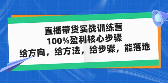 直播带货实战训练营：100%盈利核心步骤，给方向，给方法，给步骤，能落地即刻搞钱-网创项目资源站-副业项目-创业项目-搞钱项目即刻搞钱