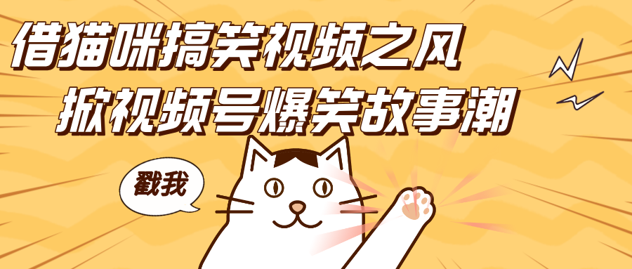 借猫咪搞笑视频之风，掀视频号爆笑故事潮，轻松日赚四位数，开启无门槛赚钱新体验！即刻搞钱-网创项目资源站-副业项目-创业项目-搞钱项目即刻搞钱