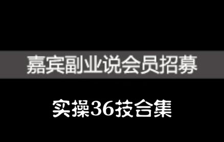 嘉宾副业说实操36技合集，价值1380元即刻搞钱-网创项目资源站-副业项目-创业项目-搞钱项目即刻搞钱
