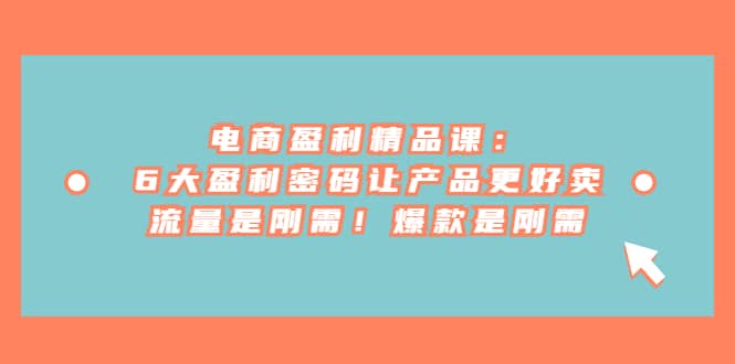 电商 盈利精品课：6大盈利 密码让产品更好卖，流量是刚需！爆款是刚需即刻搞钱-网创项目资源站-副业项目-创业项目-搞钱项目即刻搞钱