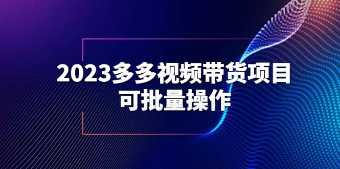 2023多多视频带货项目，可批量操作【保姆级教学】即刻搞钱-网创项目资源站-副业项目-创业项目-搞钱项目即刻搞钱