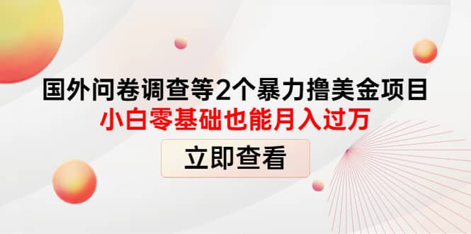 国外问卷调查等2个暴力撸美元项目，小白零基础也能月入过万即刻搞钱-网创项目资源站-副业项目-创业项目-搞钱项目即刻搞钱