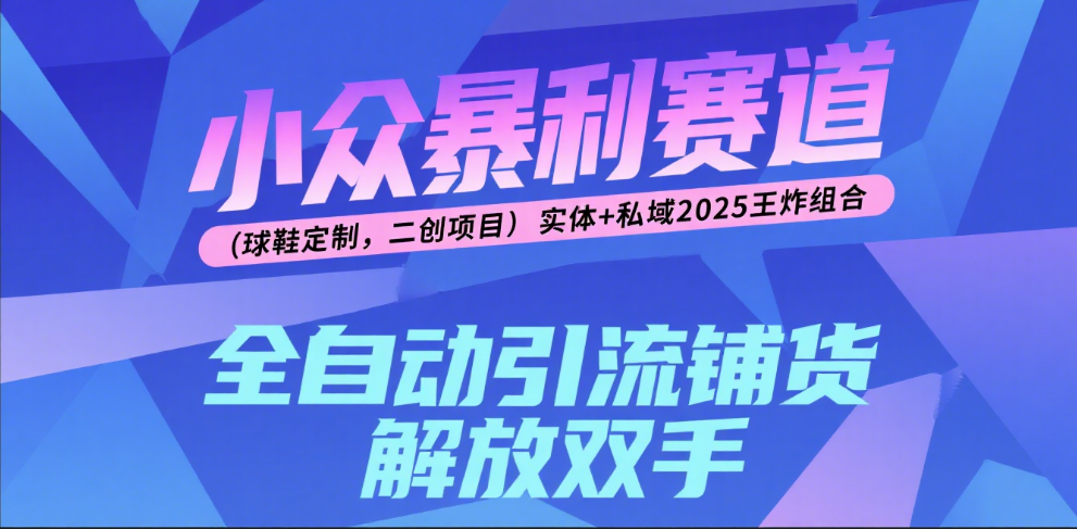 楠—小众暴利赛道（球鞋定制，二创项目）实体+私域2025王炸组合即刻搞钱-网创项目资源站-副业项目-创业项目-搞钱项目即刻搞钱
