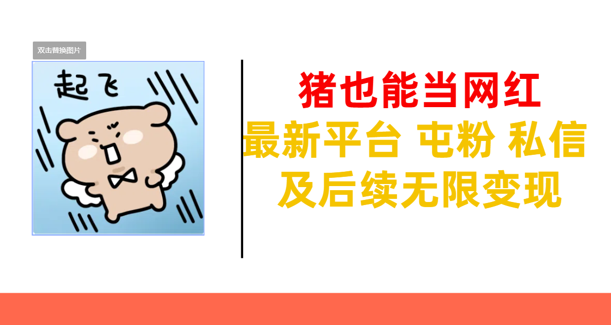 猪也能当网红-最新平台 屯粉 交流 私信 及后续无限变现即刻搞钱-网创项目资源站-副业项目-创业项目-搞钱项目即刻搞钱