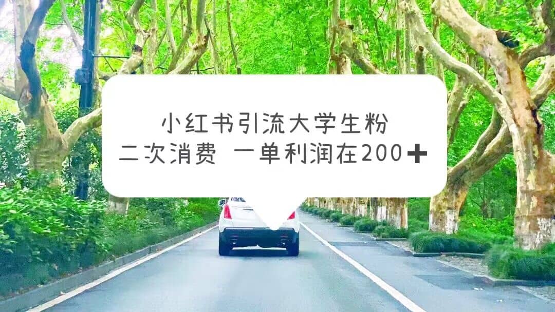 小红书引流大学生粉，变现项目，一单利润在200+（教程+资源）即刻搞钱-网创项目资源站-副业项目-创业项目-搞钱项目即刻搞钱