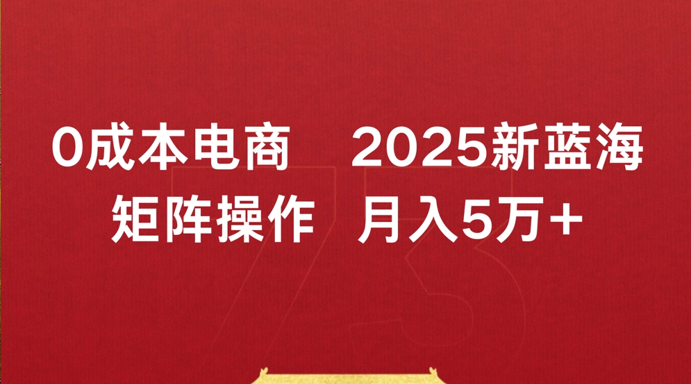 0成本电商2025新蓝海矩阵操作 月入5万+即刻搞钱-网创项目资源站-副业项目-创业项目-搞钱项目即刻搞钱