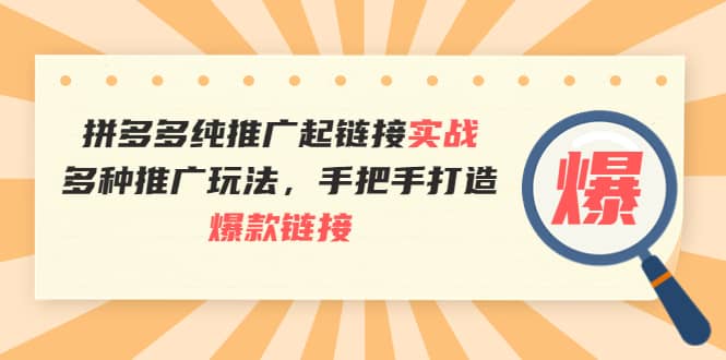 拼多多纯推广起链接实战：多种推广玩法，手把手打造爆款链接即刻搞钱-网创项目资源站-副业项目-创业项目-搞钱项目即刻搞钱