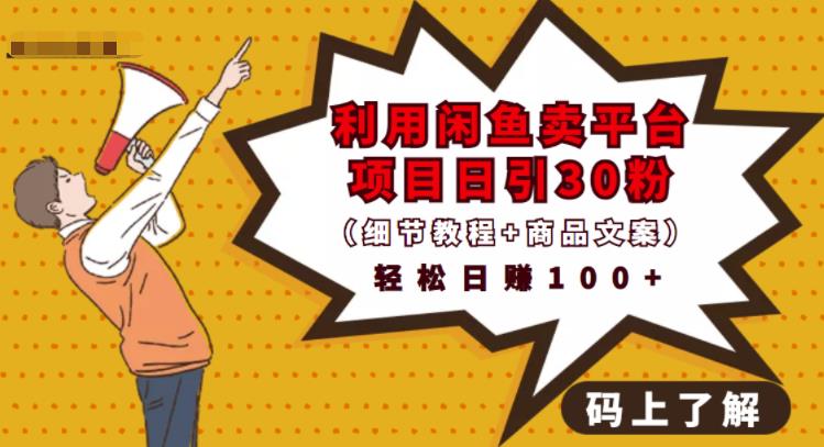 利用闲鱼卖平台项目课程资源日引流30+精准粉丝，轻松日赚100+，积累人脉可实现二次变现（细节教程+商品文案）即刻搞钱-网创项目资源站-副业项目-创业项目-搞钱项目即刻搞钱