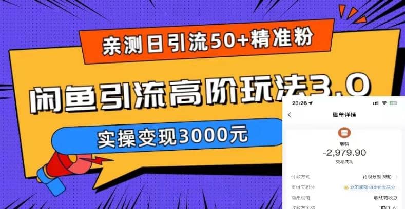 实测日引50+精准粉，闲鱼引流高阶玩法3.0，实操变现3000元即刻搞钱-网创项目资源站-副业项目-创业项目-搞钱项目即刻搞钱