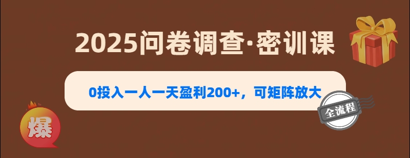 2025《问卷调查》0投入一人一天盈利200+，可矩阵放大即刻搞钱-网创项目资源站-副业项目-创业项目-搞钱项目即刻搞钱