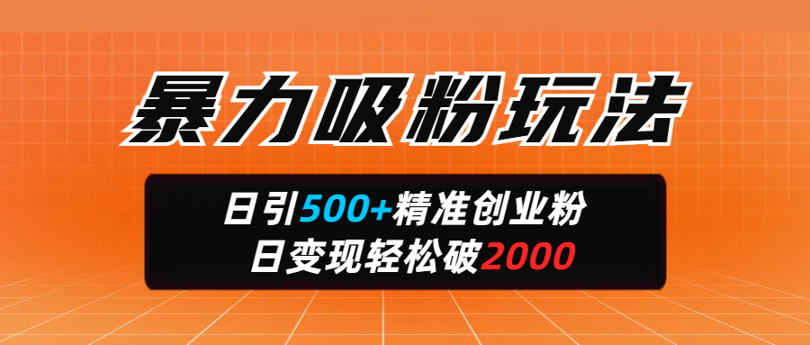 暴力吸粉玩法,日引500+精准创业粉,日变现轻松破2000即刻搞钱-网创项目资源站-副业项目-创业项目-搞钱项目即刻搞钱