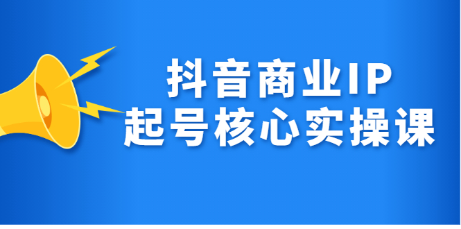 抖音商业IP起号核心实操课，带你玩转算法，流量，内容，架构，变现即刻搞钱-网创项目资源站-副业项目-创业项目-搞钱项目即刻搞钱