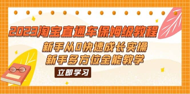2023淘宝直通车保姆级教程：新手从0快速成长实操，新手多方位全能教学即刻搞钱-网创项目资源站-副业项目-创业项目-搞钱项目即刻搞钱
