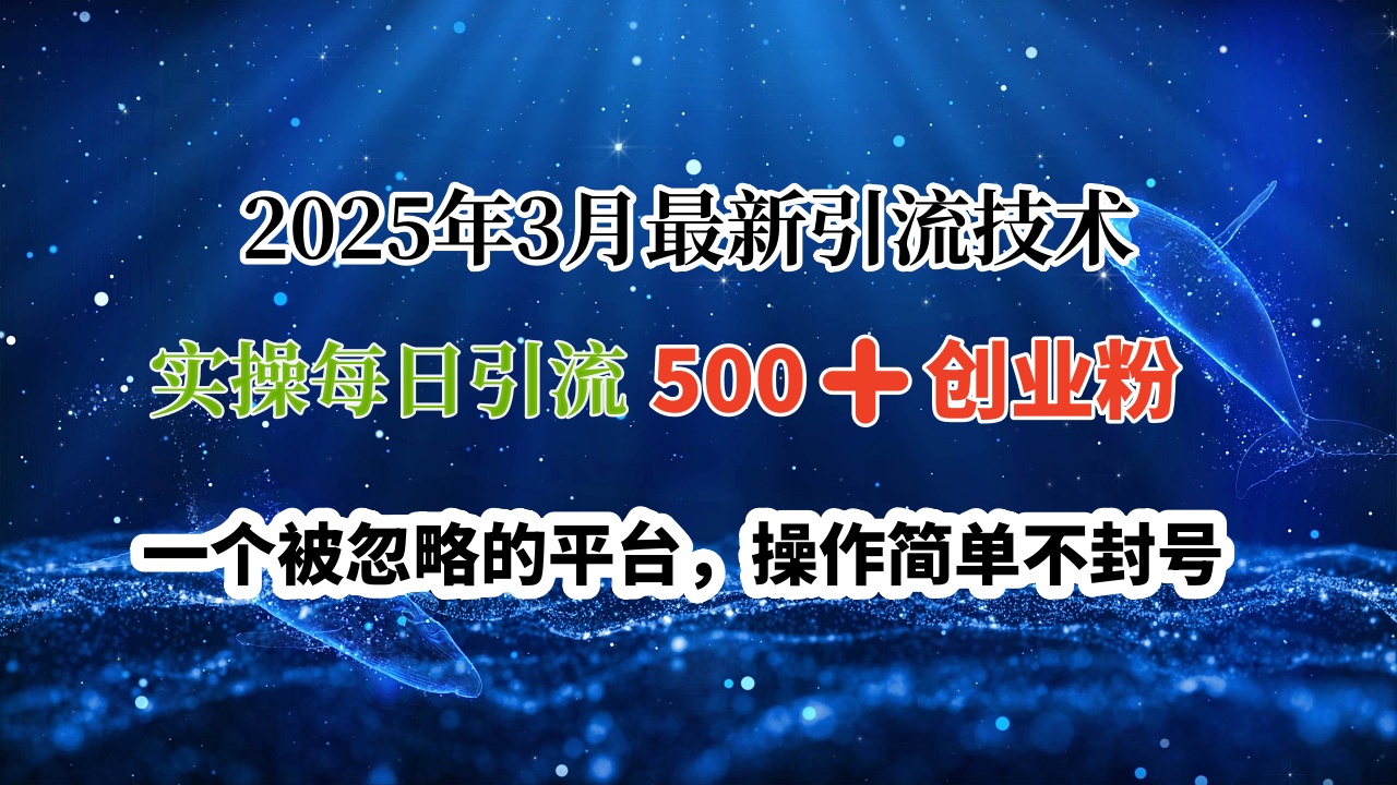 2025年3月最新引流技术，实操每日引流500➕创业粉，一个被忽略的平台，操作简单不封号即刻搞钱-网创项目资源站-副业项目-创业项目-搞钱项目即刻搞钱