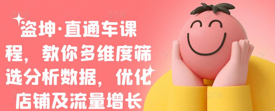 盗坤·直通车课程，教你多维度筛选分析数据，优化店铺及流量增长即刻搞钱-网创项目资源站-副业项目-创业项目-搞钱项目即刻搞钱